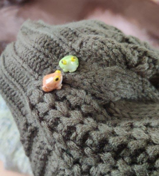 Customer photo review of green Frog and brown Toad Pins