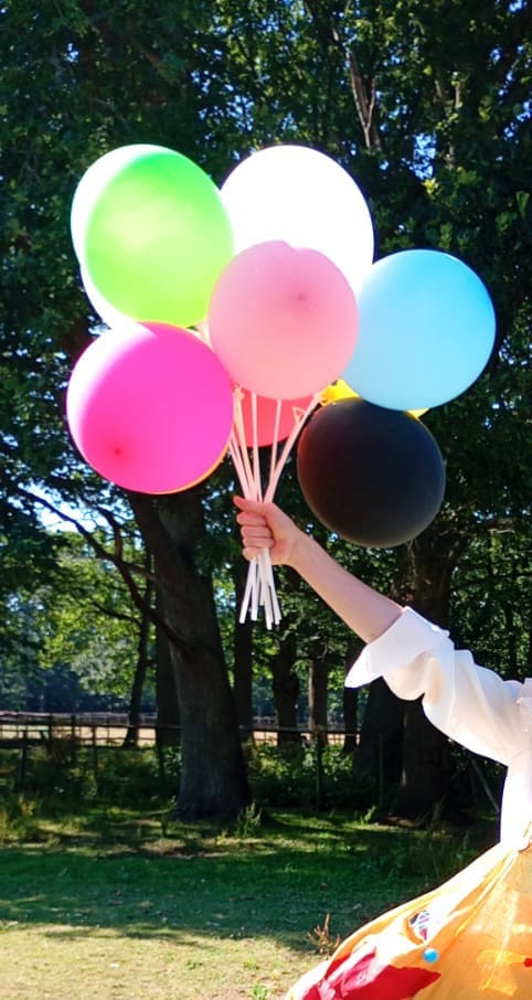 Customer photo review of Biodegradable Balloons: Mixed Colours (10 pack)