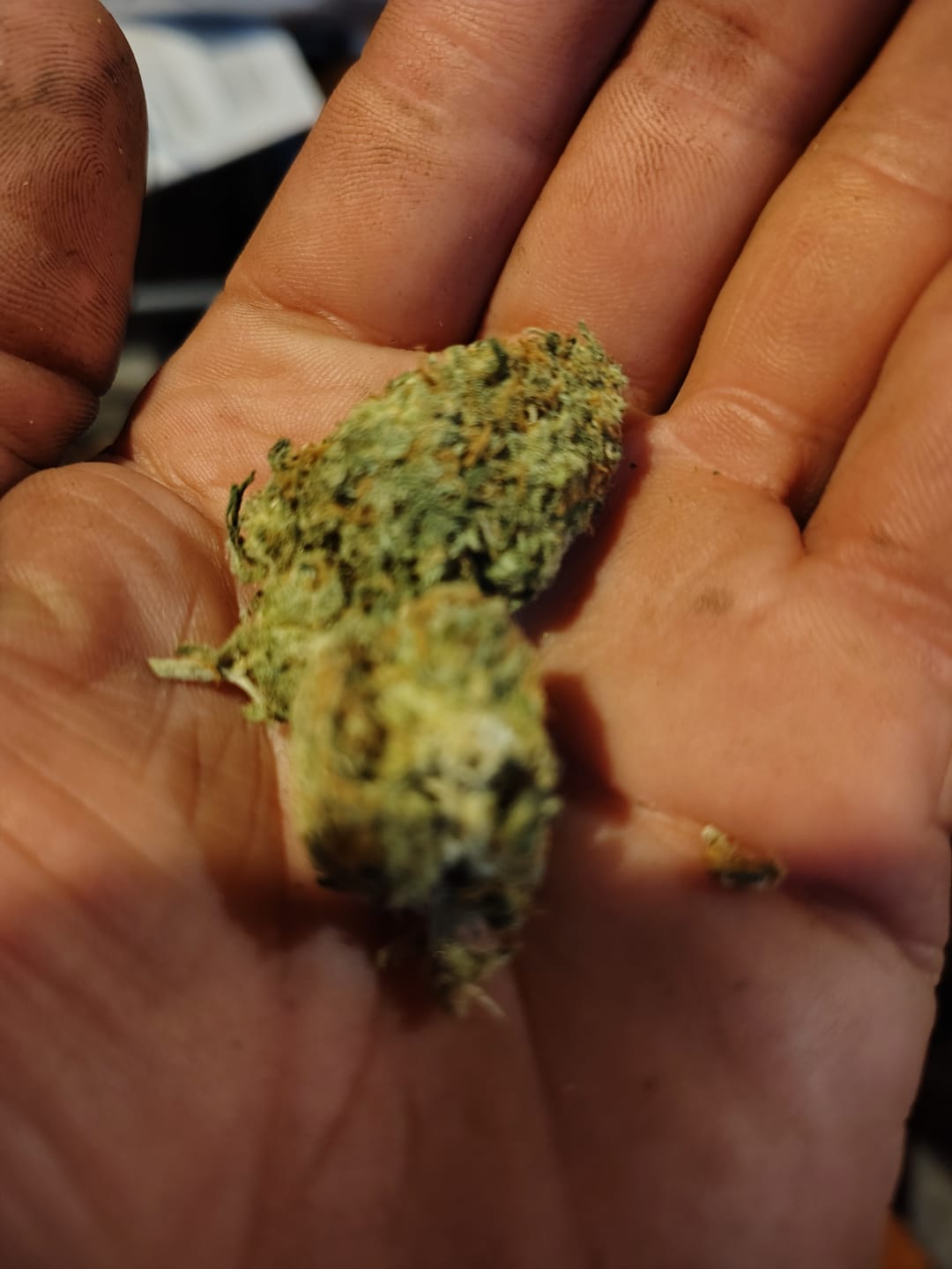 Customer photo review of Raspberry Kush - 4 Grams - Indica
