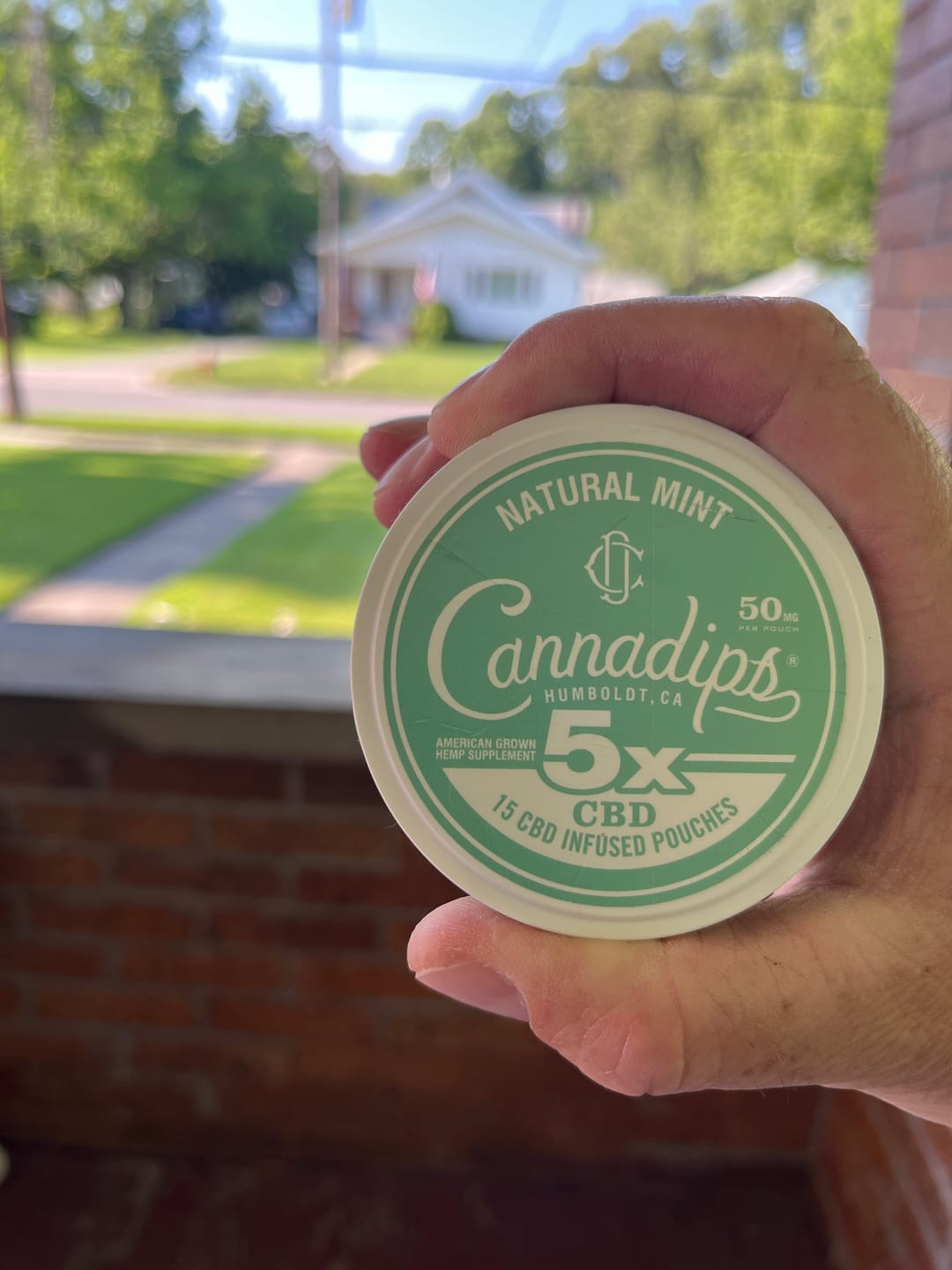 Customer photo review of Cannadips 5X CBD