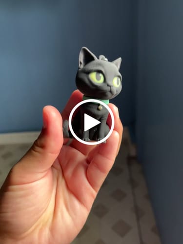 Customer video review of Shipping Protection