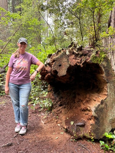 Customer wearing the purple Let Our Parks Bloom T-Shirt while standing on a forest trail next to a large log.