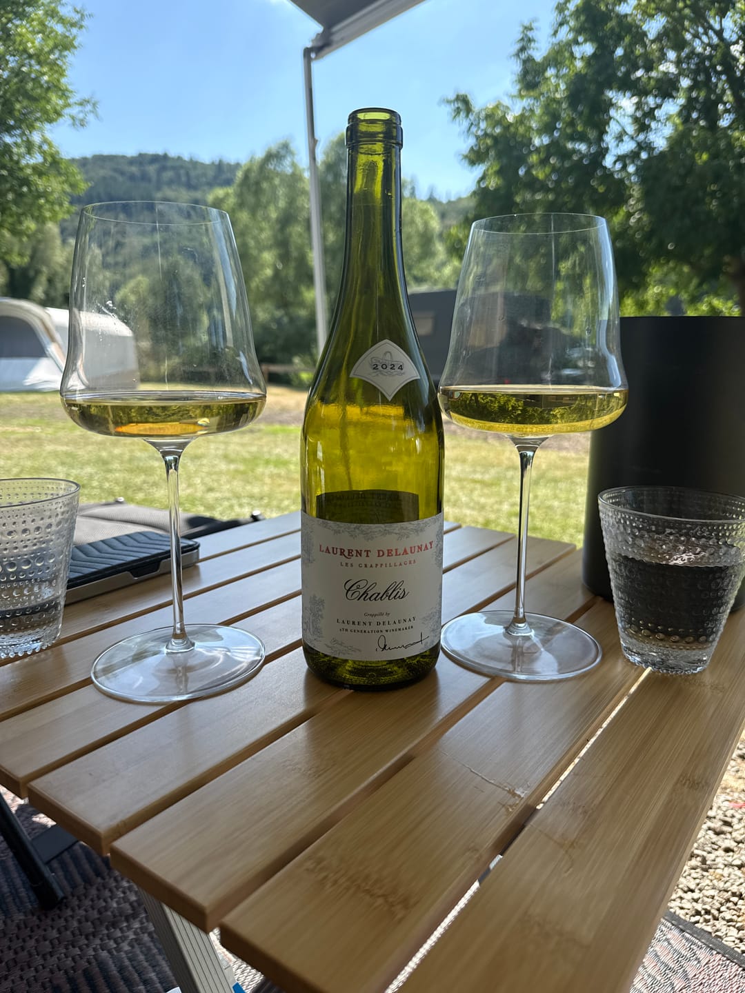 Customer photo review of Riedel Witte Wijnglas Winewings - Chardonnay - 736 ml