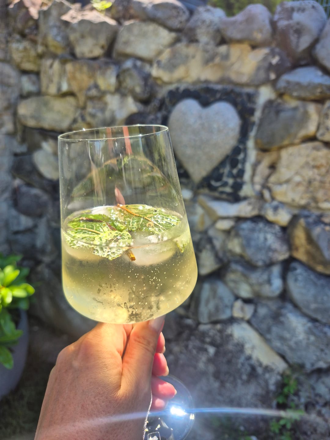 Customer photo review of NEU:VinTonic Mojito  | 6 x 0,75 L