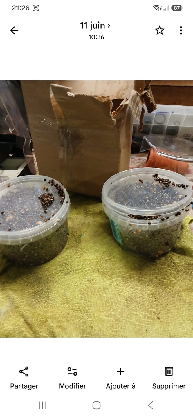 Customer photo review of COOKED PARTICLES HEMP