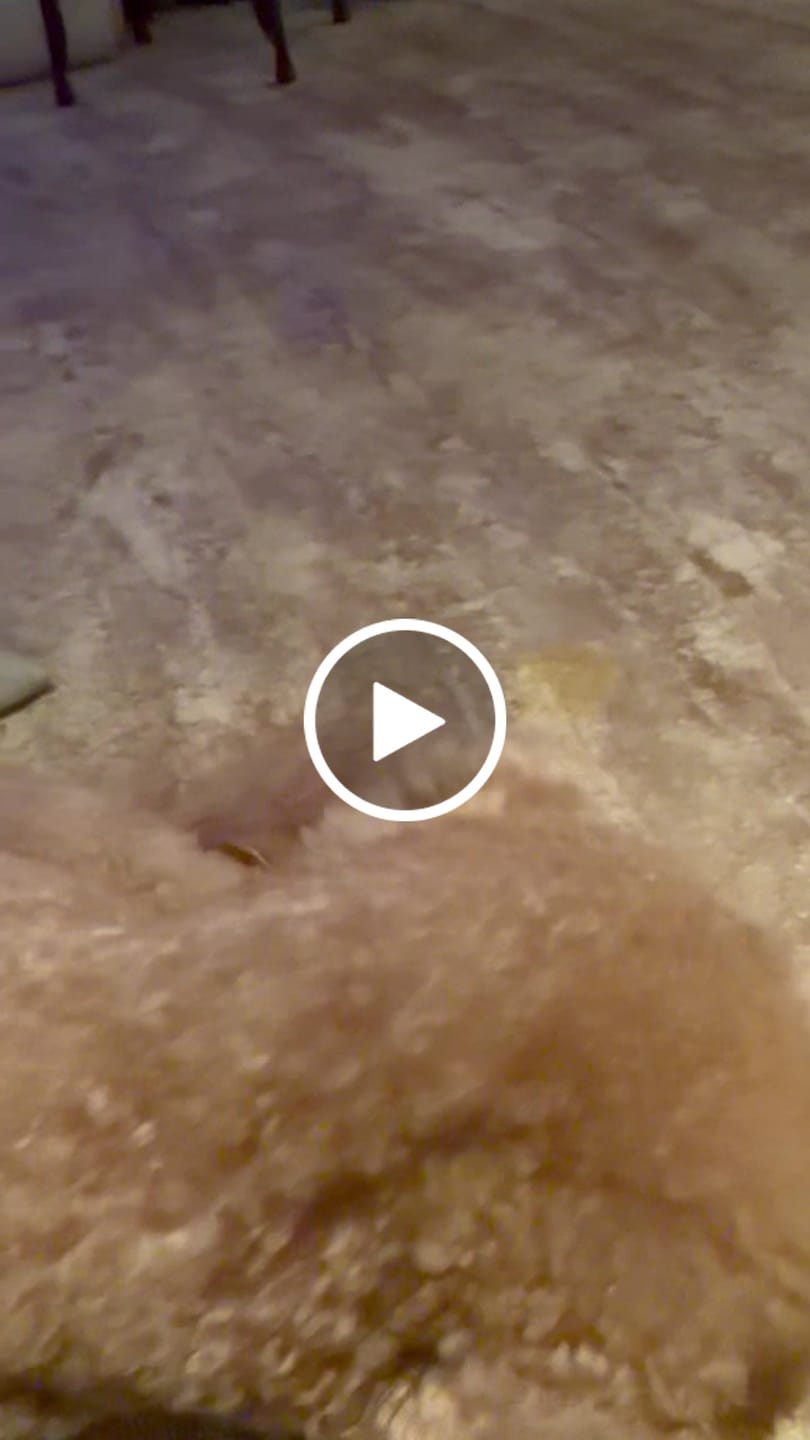 Customer video review of NEF Nano - Palm-Sized High-Speed Handheld Fan