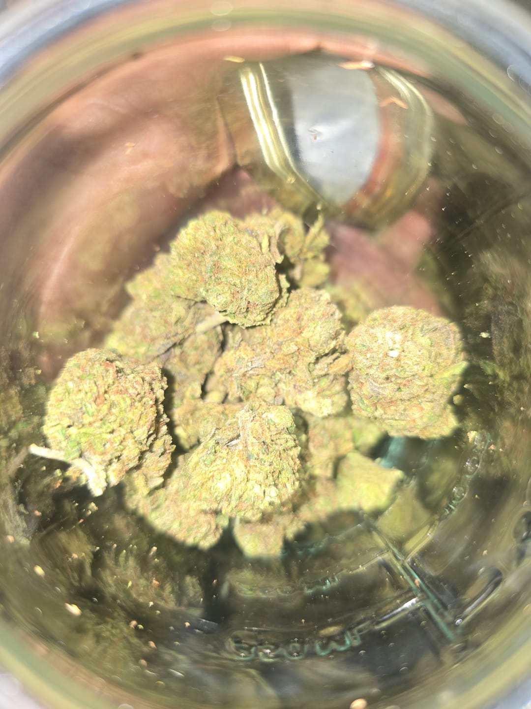 Customer photo review of Blackberry Kush - 28 Grams Littles - Indica