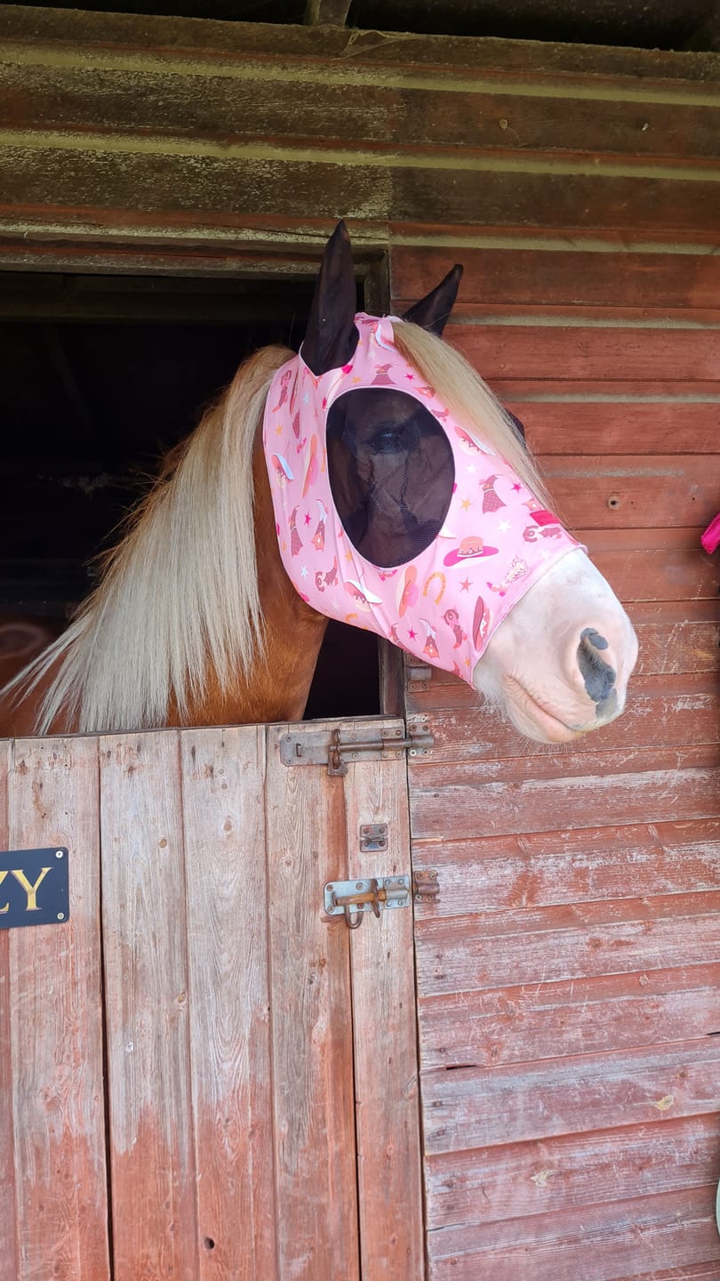 Customer photo review of NEW Country Star Fly Mask