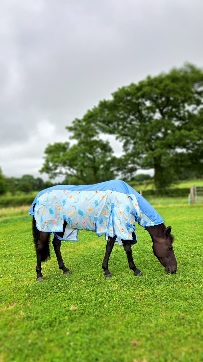 Customer photo review of NEW Rain Or Shine Fly Rug
