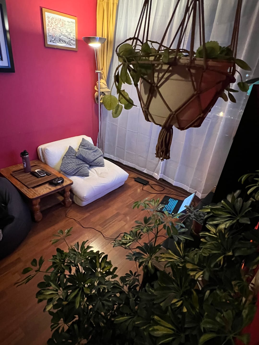 Customer photo review of PREVENTA - Sofá Cama Plegable Tela Crema