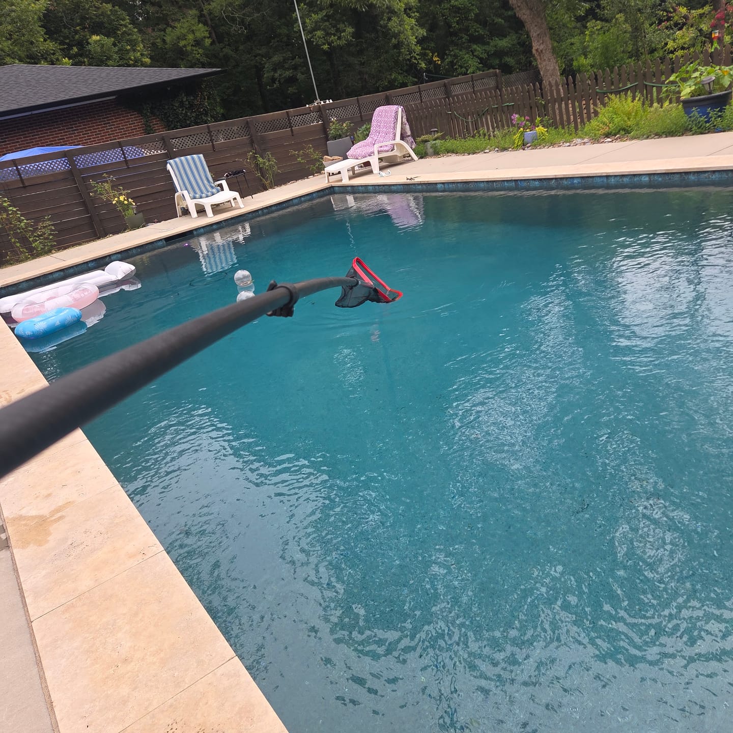 Customer photo review of HyperPole / Carbon Only Swimming Pool pole
