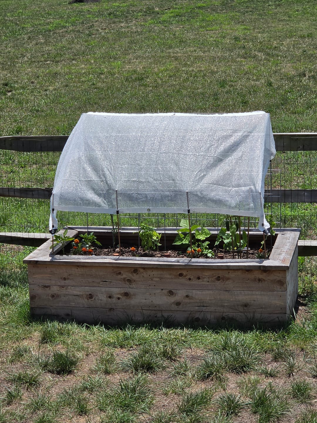 Customer photo review of 40% Shade Cloth
