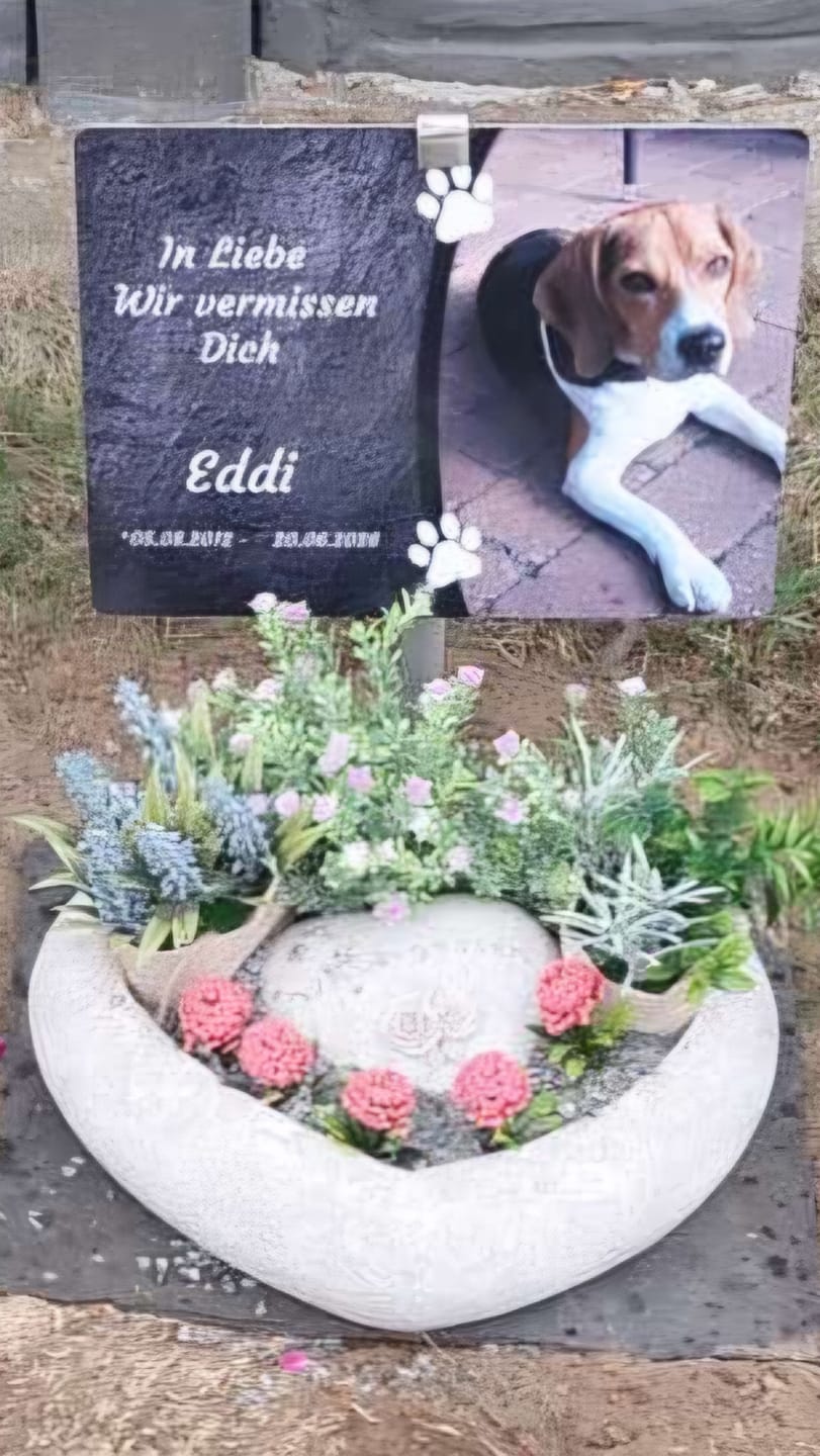 Customer photo review of Hunde Gedenktafel mit Foto & Spruch (UV- &  Wetterfest)