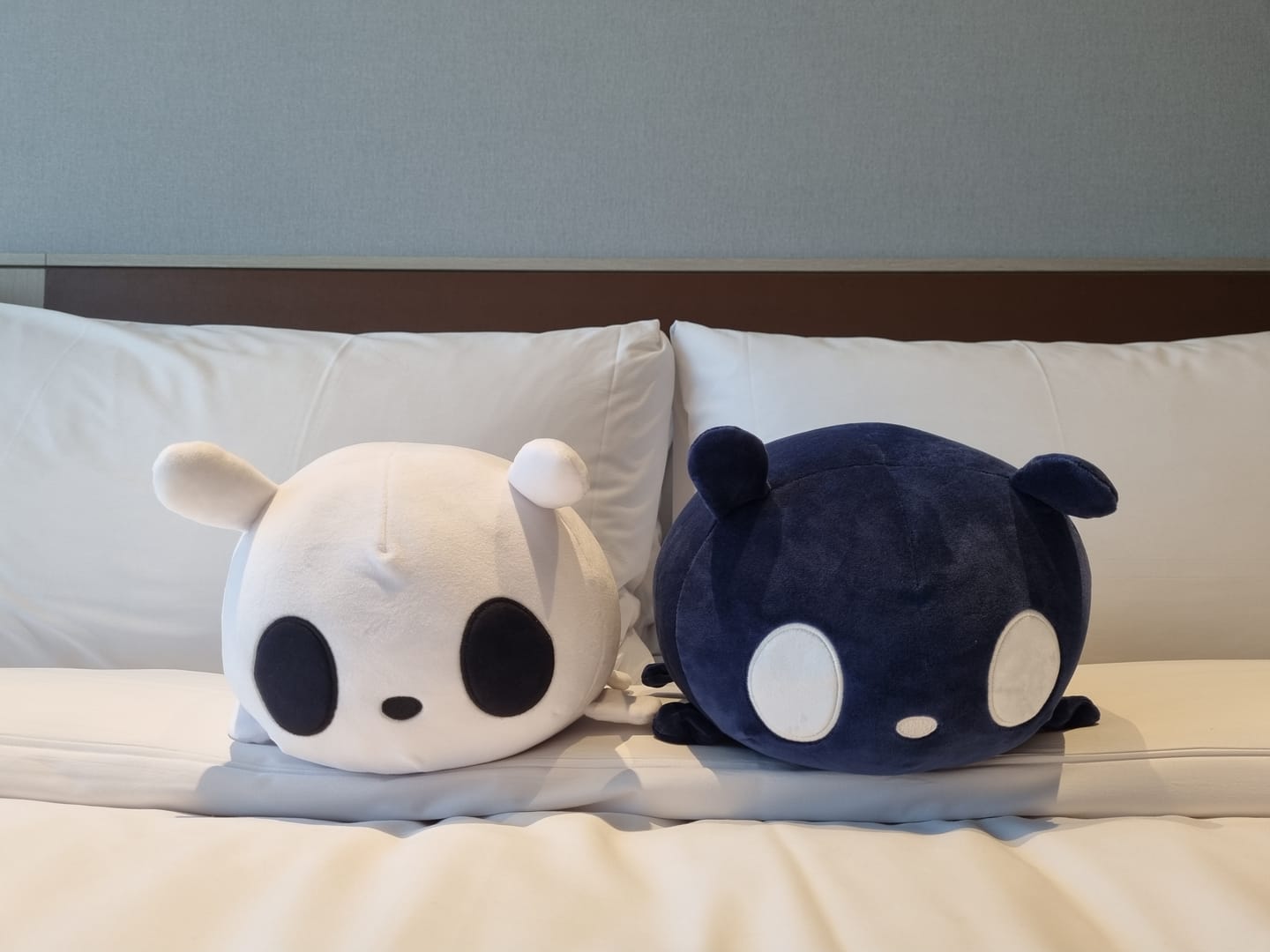 Customer photo review of Rain World - Survivor Slugcat Pillow Plush