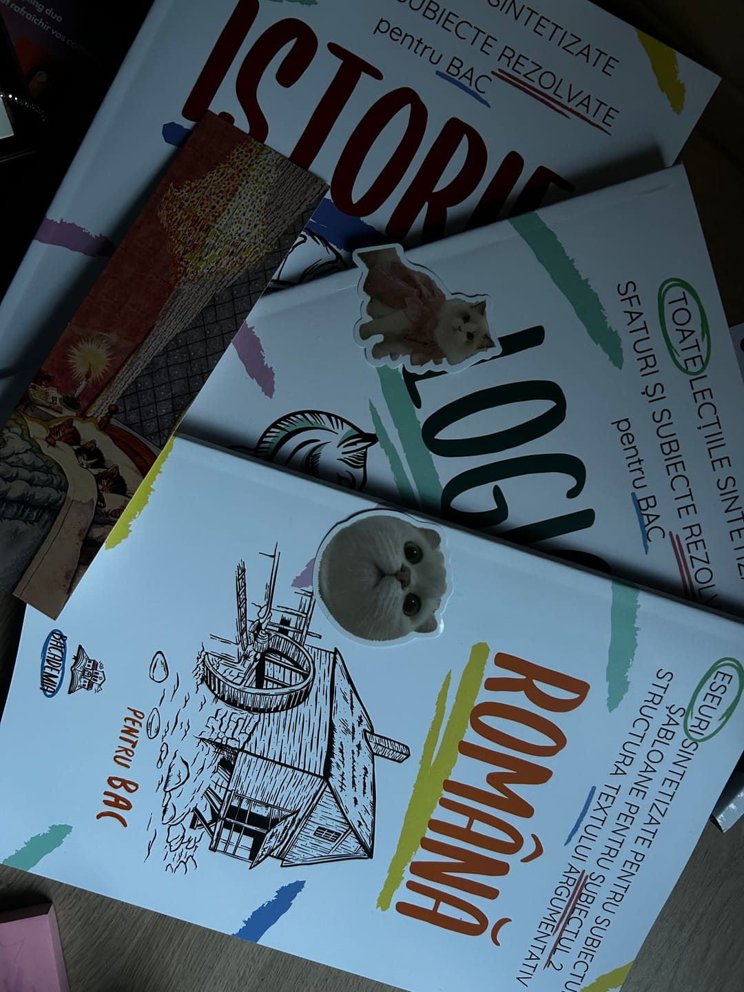 Customer photo review of Pachet Bacalaureat (Română + Istorie + Logică) Bacademia