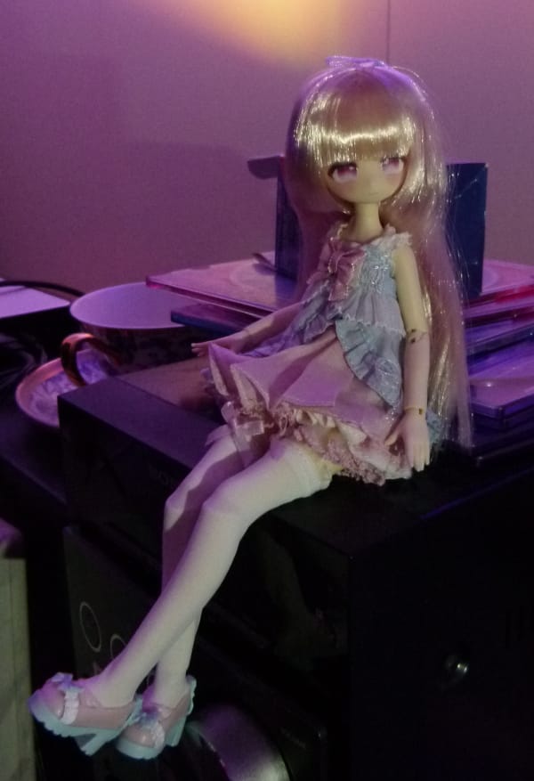Customer photo review of Momotale Four Seasons Tea House Story Series 1/8 Action Figure BJD Blind Box