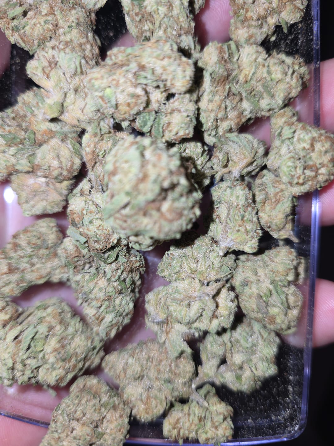 Customer photo review of GMO - 28 Grams - Indica