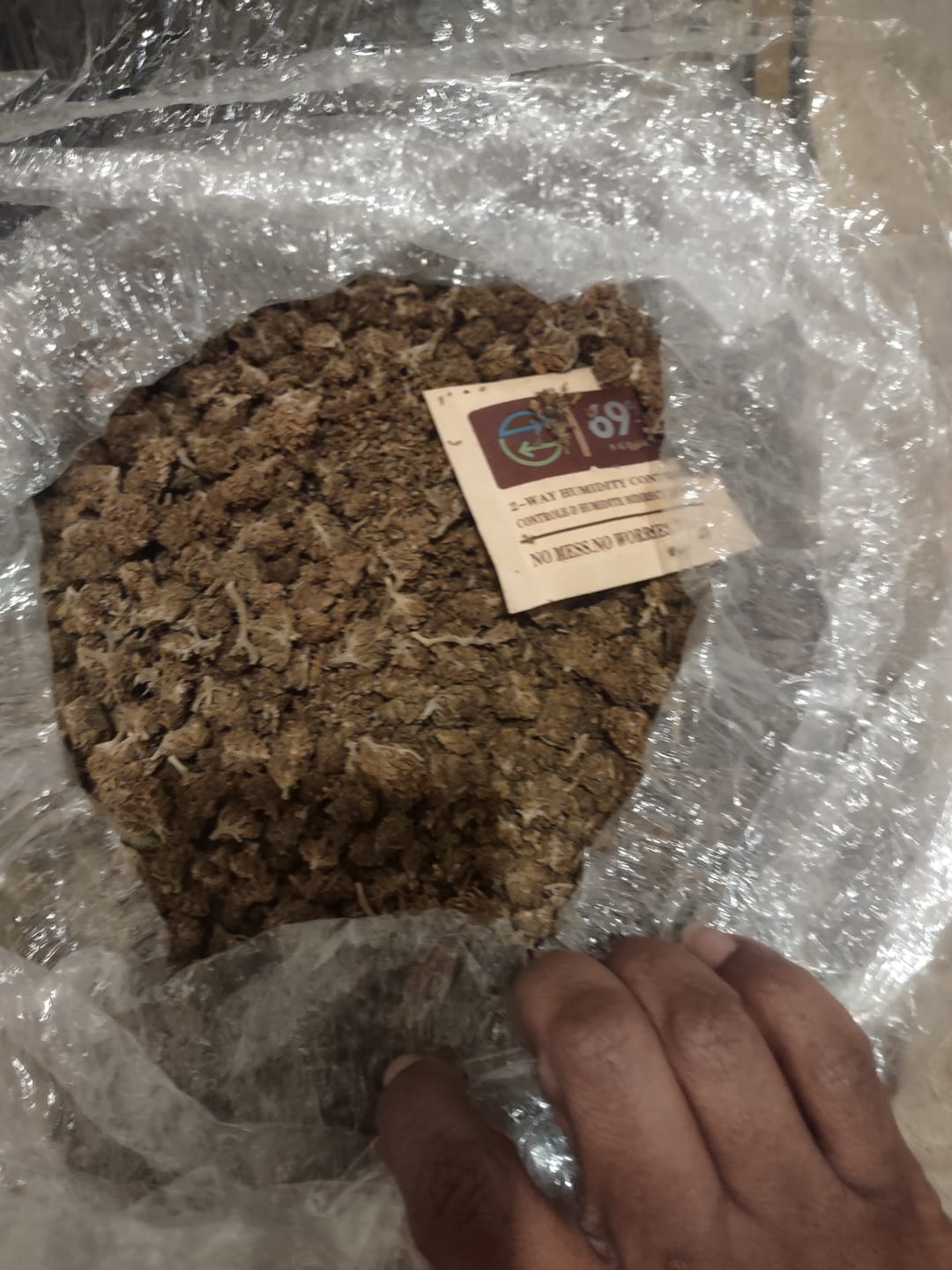 Customer photo review of Butterscotch OG - Bulk - Indica