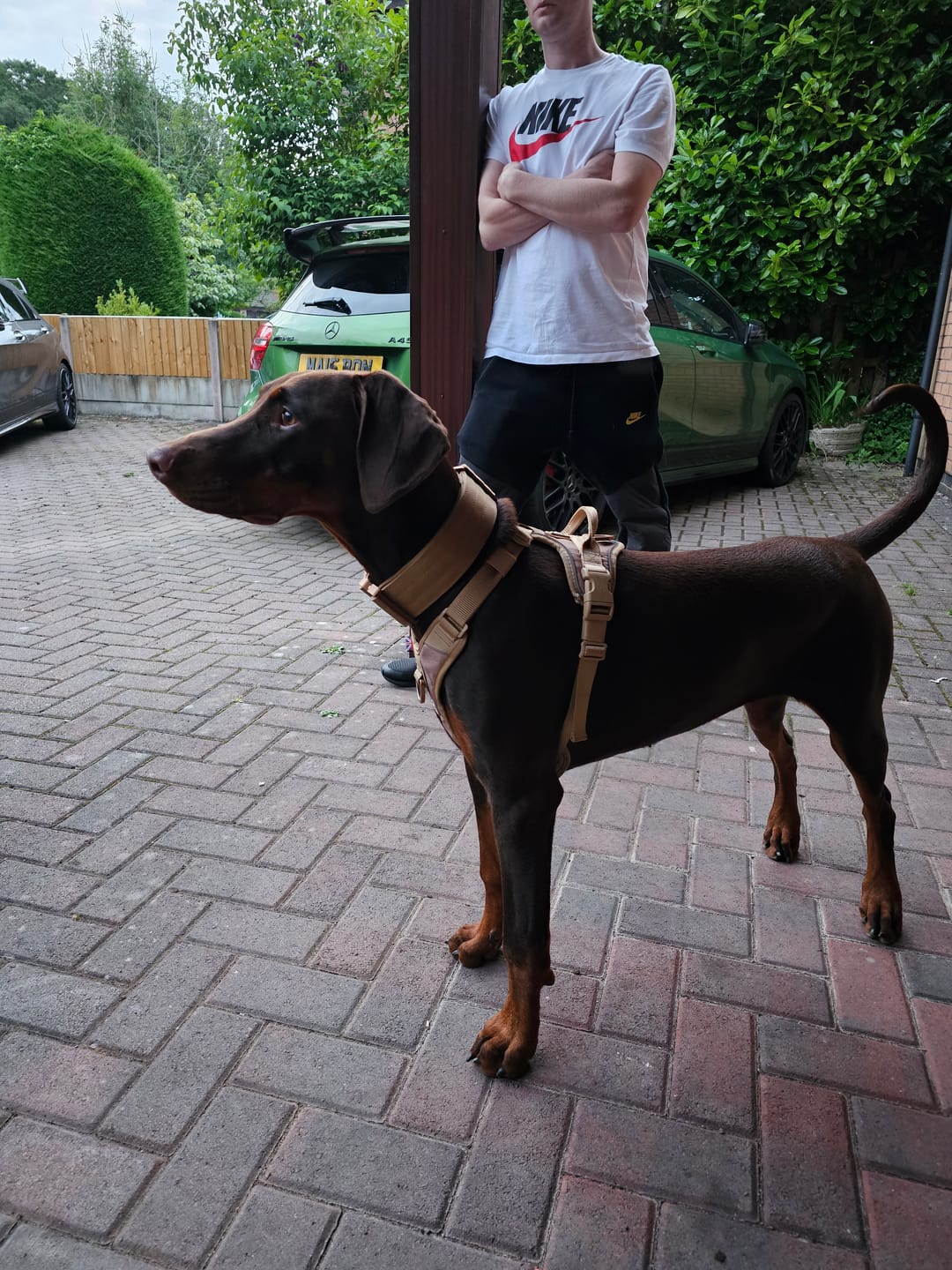 Customer photo review of Anti Pull Hurricane Harness Lighter | With Handle - Tan X Tan