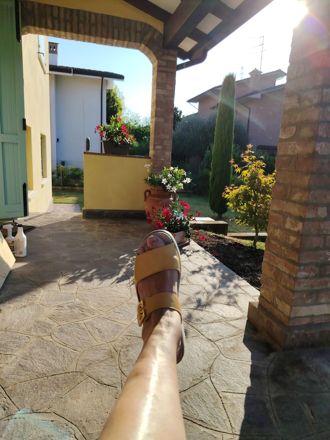Customer photo review of Palma