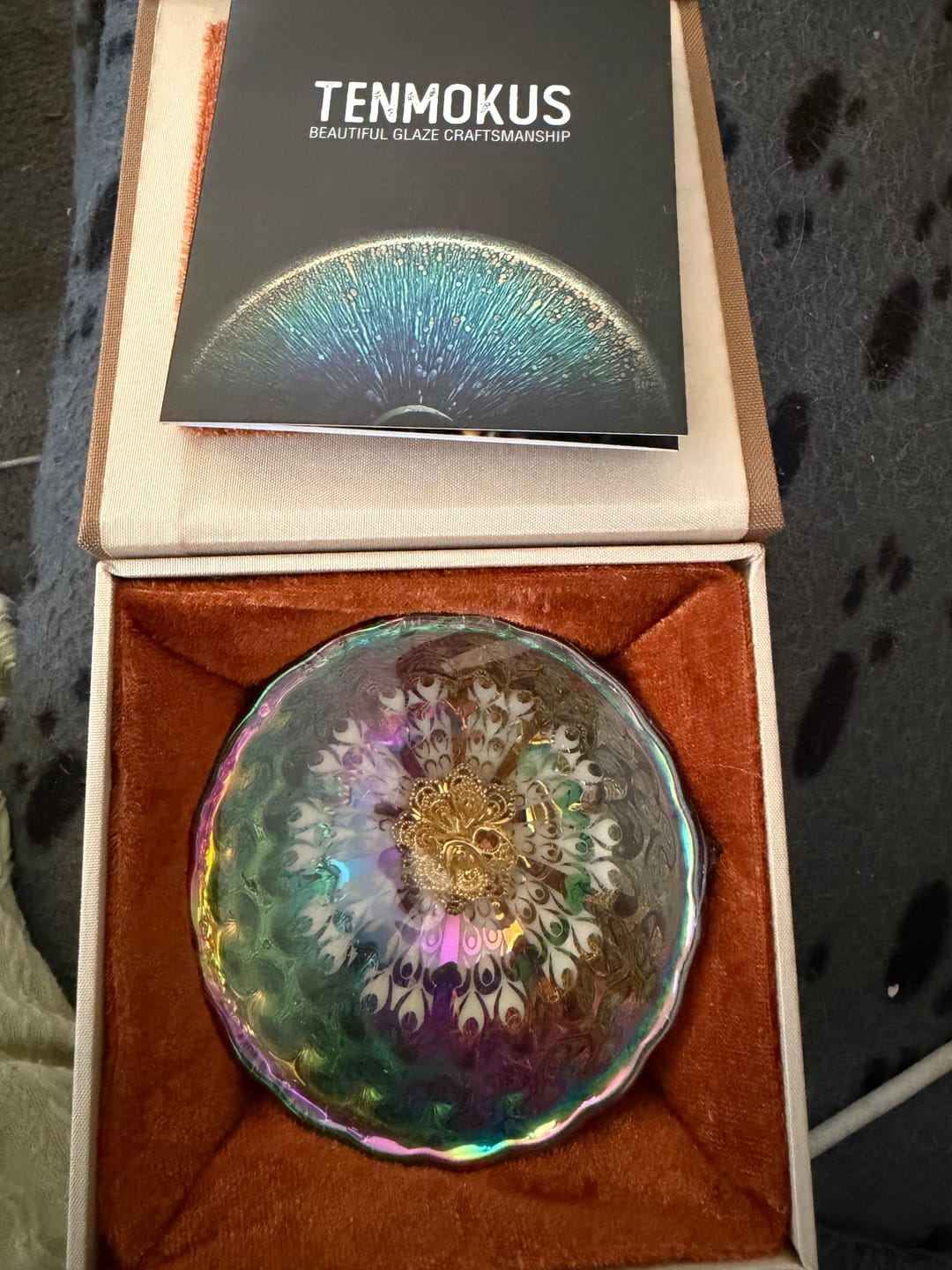 Customer photo review of Vivid Peacock