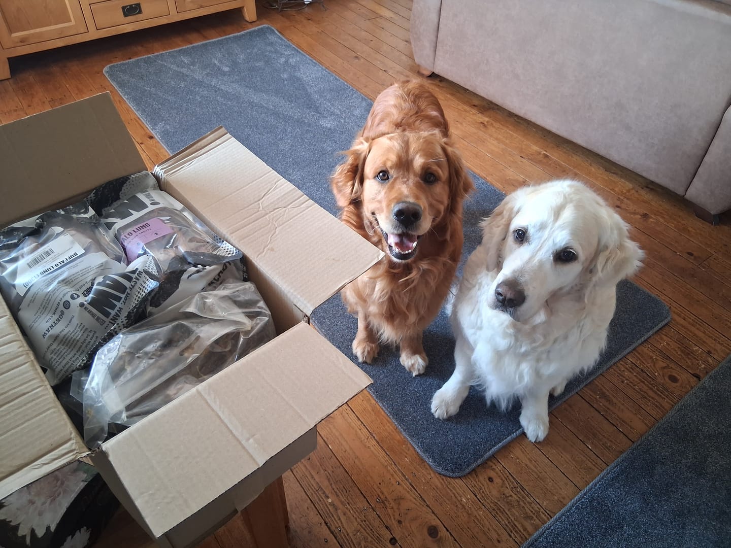 Customer photo review of Hairy Lamb Ears (100g)