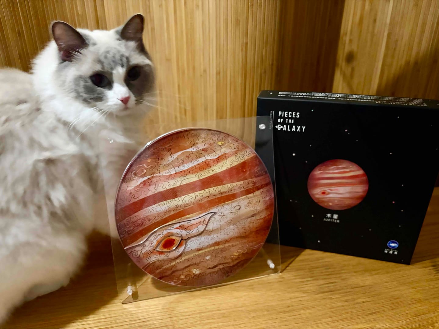 Customer photo review of 宇宙の破片 JUPITER 木星と専用フレームセット