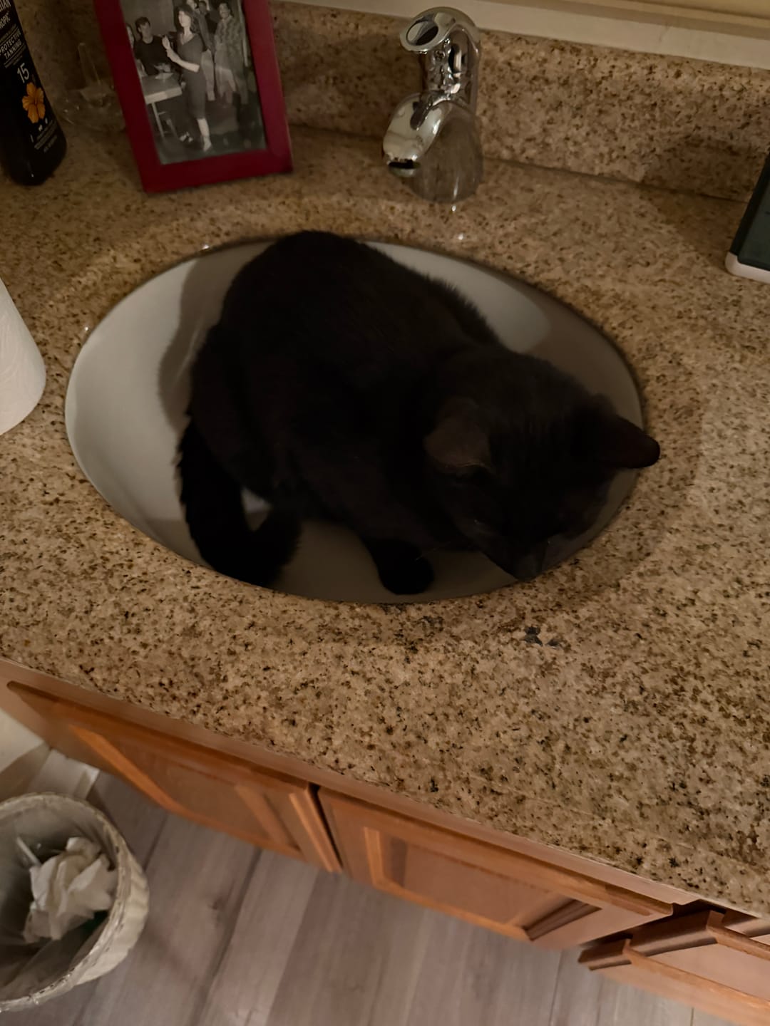 Customer photo review of Black Cat Society Tee