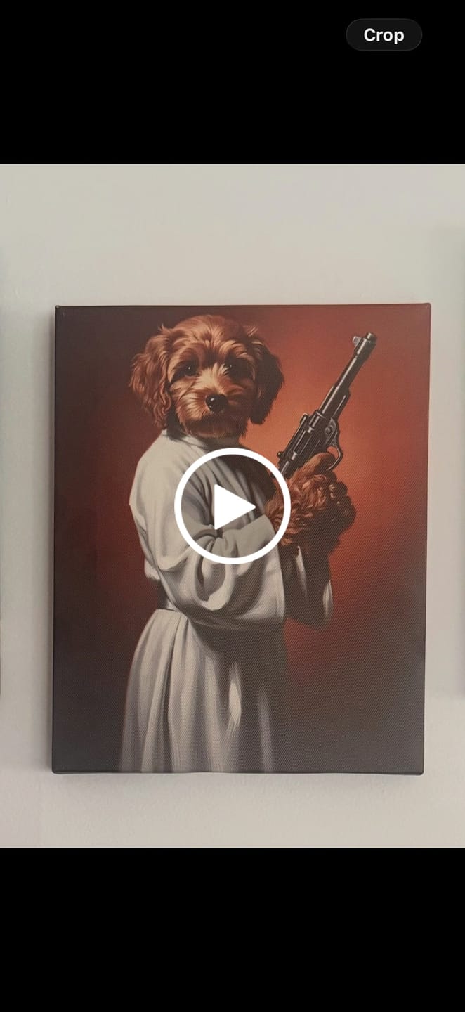 Customer video review of Artzuzu Custom Portrait For Pets - Princess Leia
