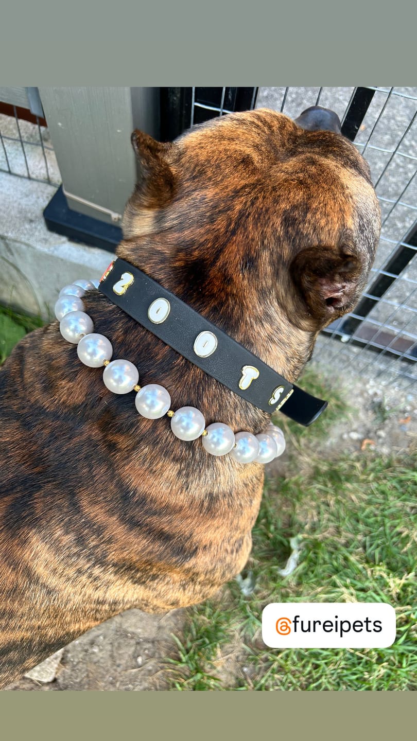 Customer photo review of Moodies Collar