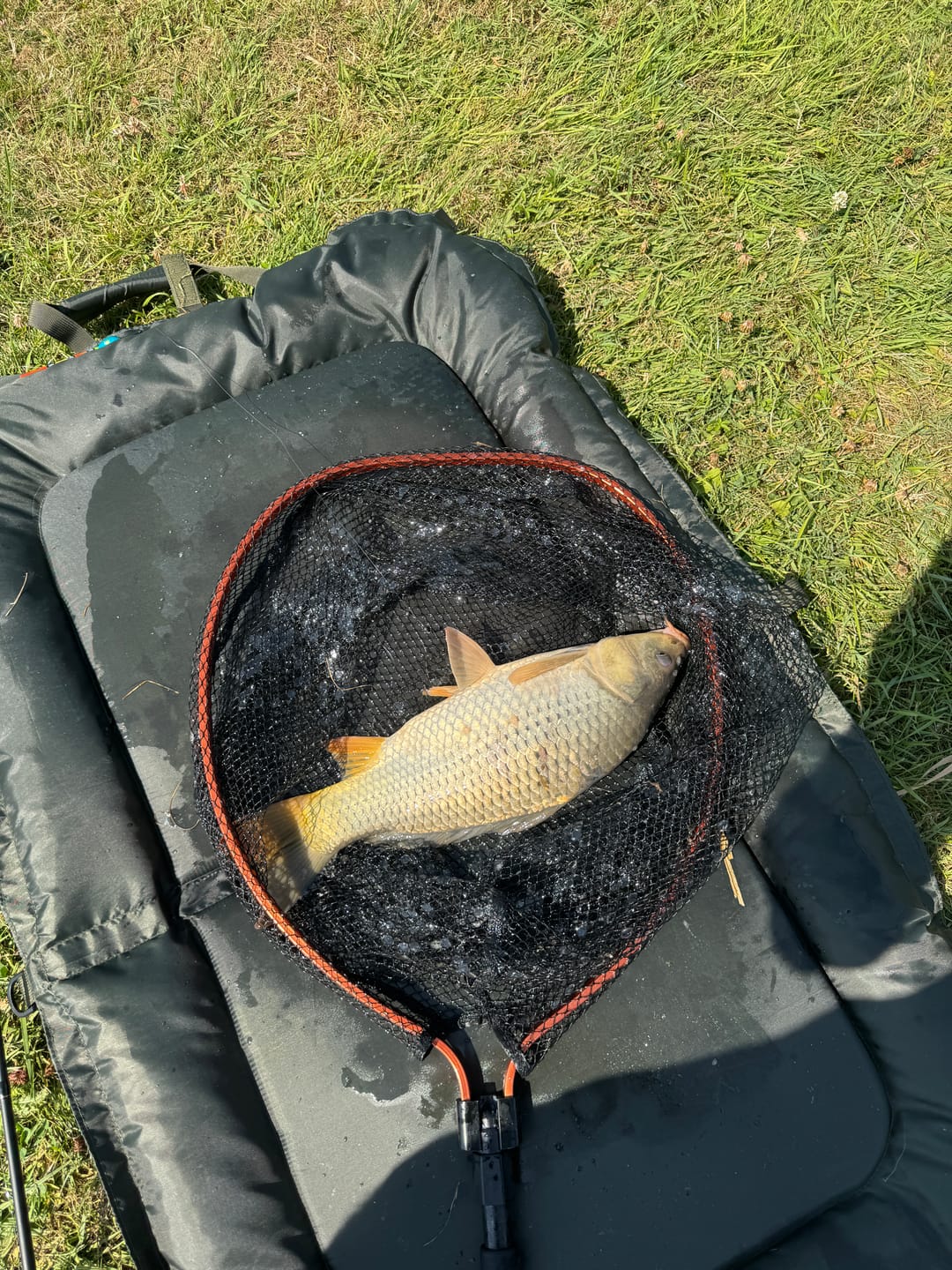 Customer photo review of FLAVOURED PELLETS 1kg