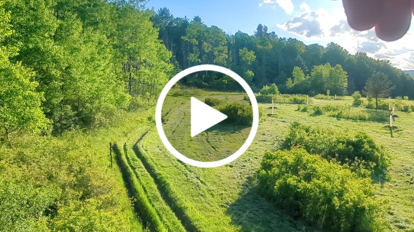 Customer video review of Tree Pro Grow Tubes