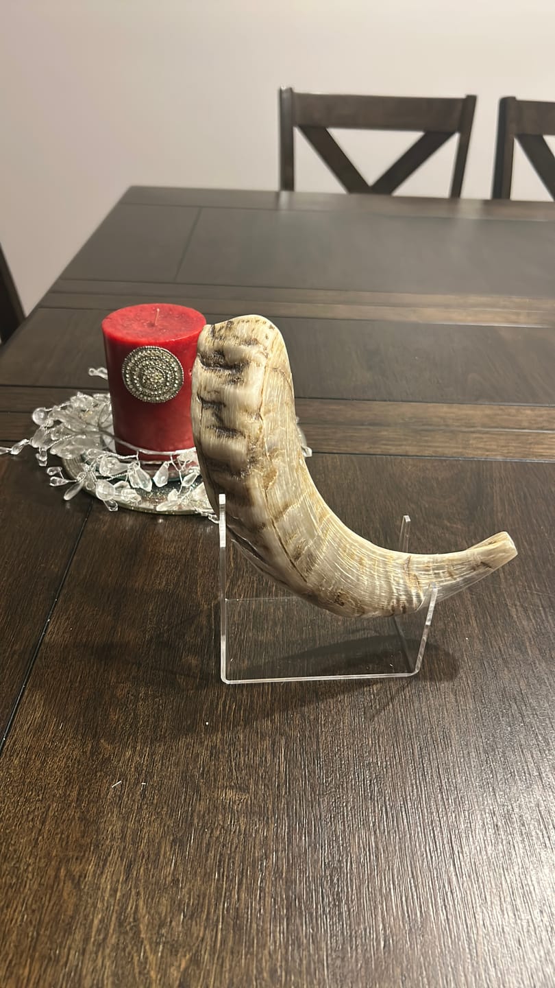 Customer photo review of Ram Shofar with Wood Stand