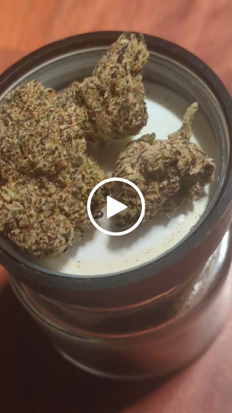 Customer video review of Sour Diesel - THCa Flower