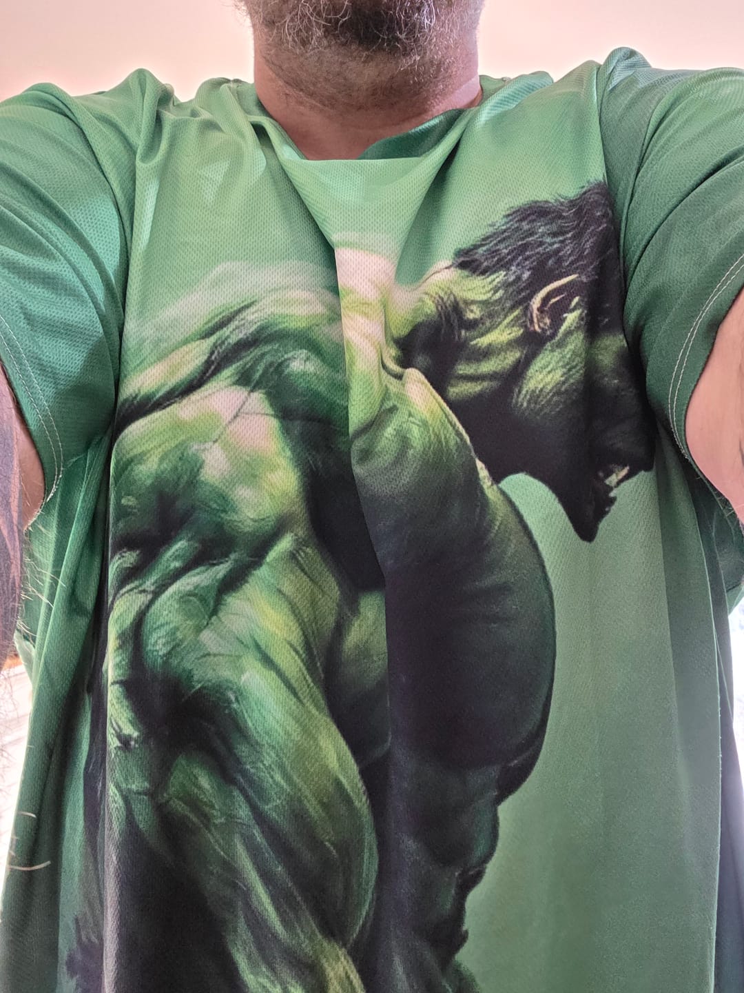 Customer photo review of Hulk Men's Plus Size Short Sleeve T-Shirt