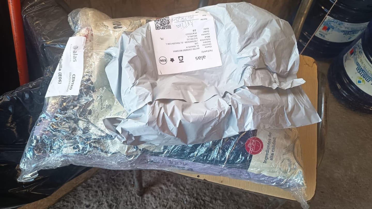 Customer photo review of Plato para Perros PetFamily