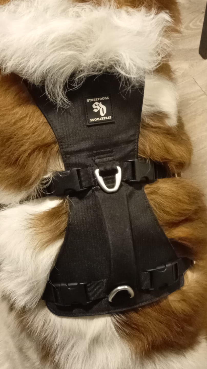 Customer photo review of Arnés Anti-Escape Security Fit para Perros - Street Dogs - Black