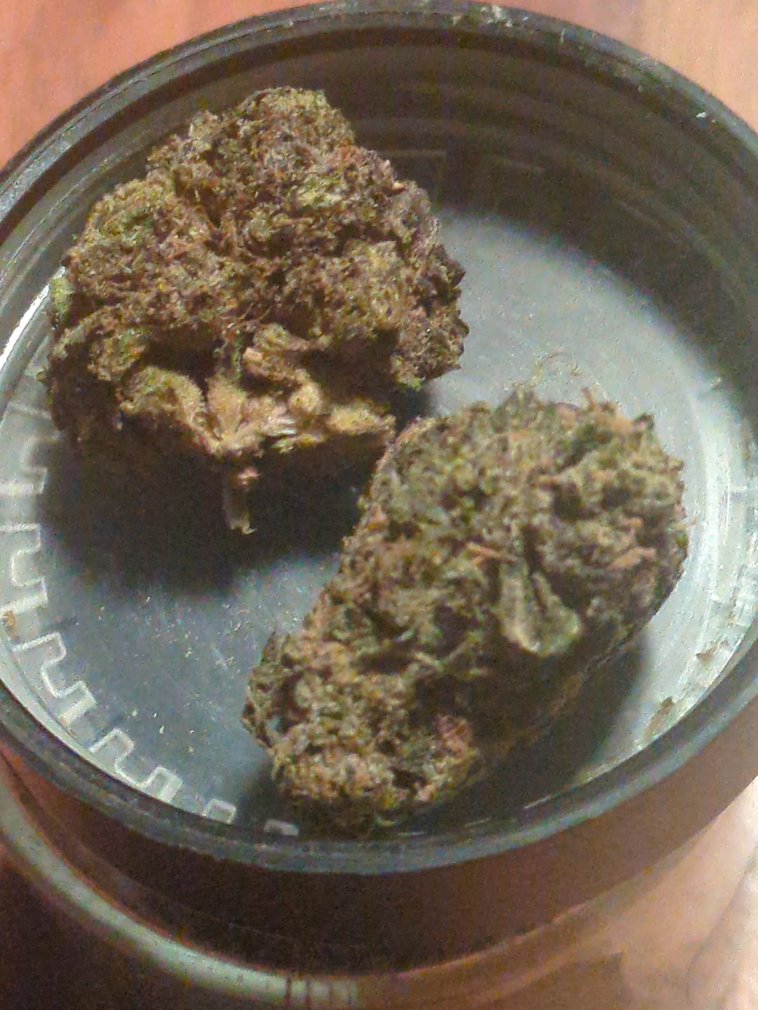 Customer photo review of Jealousy - THCa Flower