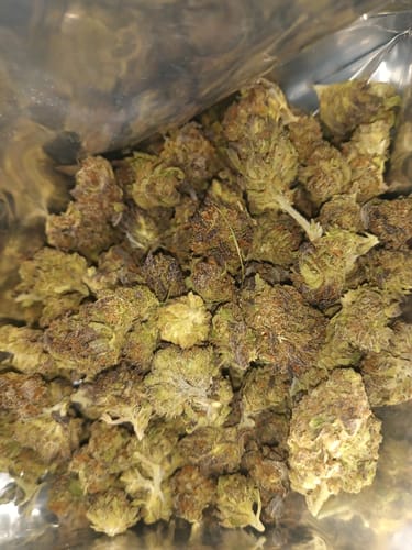 Customer photo review of GDP THCA Flower