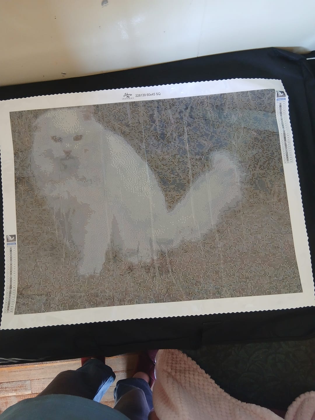 Customer photo review of Worlds Best Customized Diamond Painting Kit