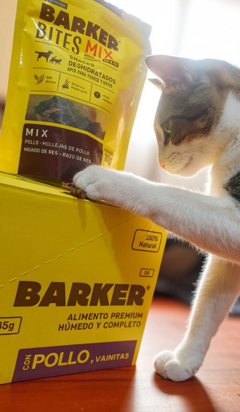 Customer photo review of Latas cat (24-Pack)  Pollo y Vainitas