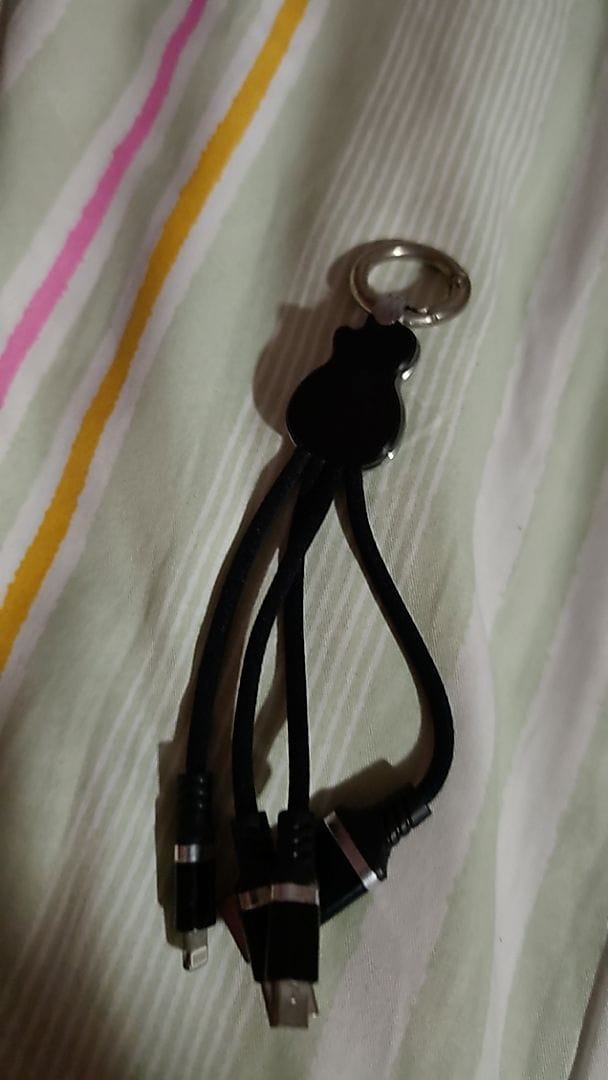 Customer photo review of 4-way Charging Cable (USB-C/A)