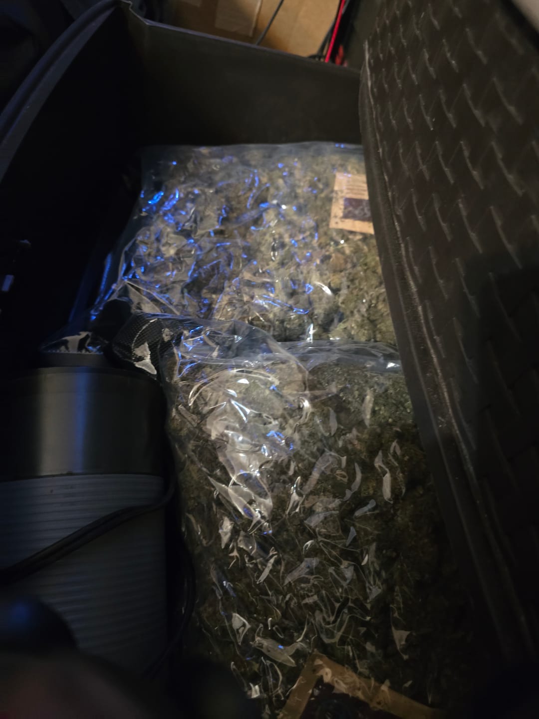 Customer photo review of Amnesia Haze - Bulk - Sativa