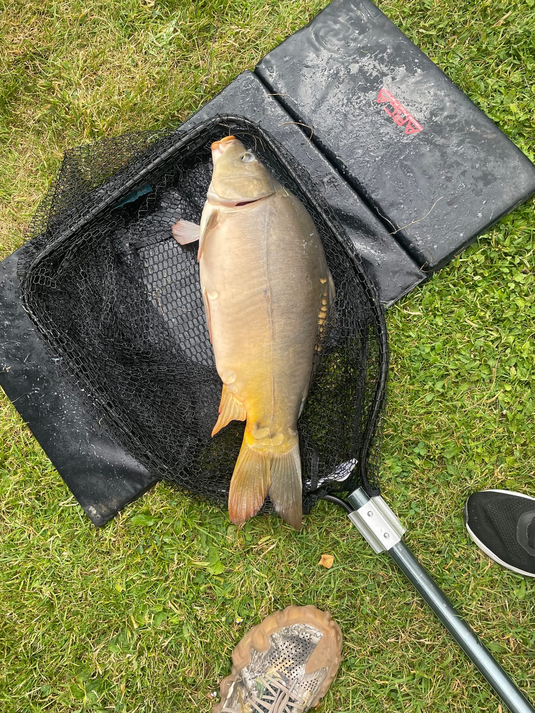 Customer photo review of PELLET METHOD FEEDER
