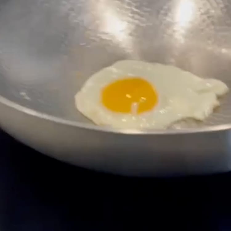 Customer photo review of TitaneX® Titanium Nonstick Frying Pan