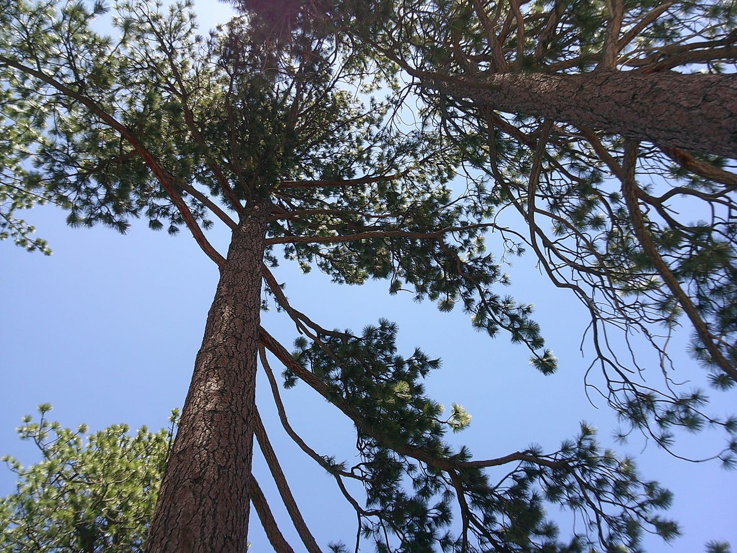 Customer photo review of KLIK™️ Screen-Free Camera