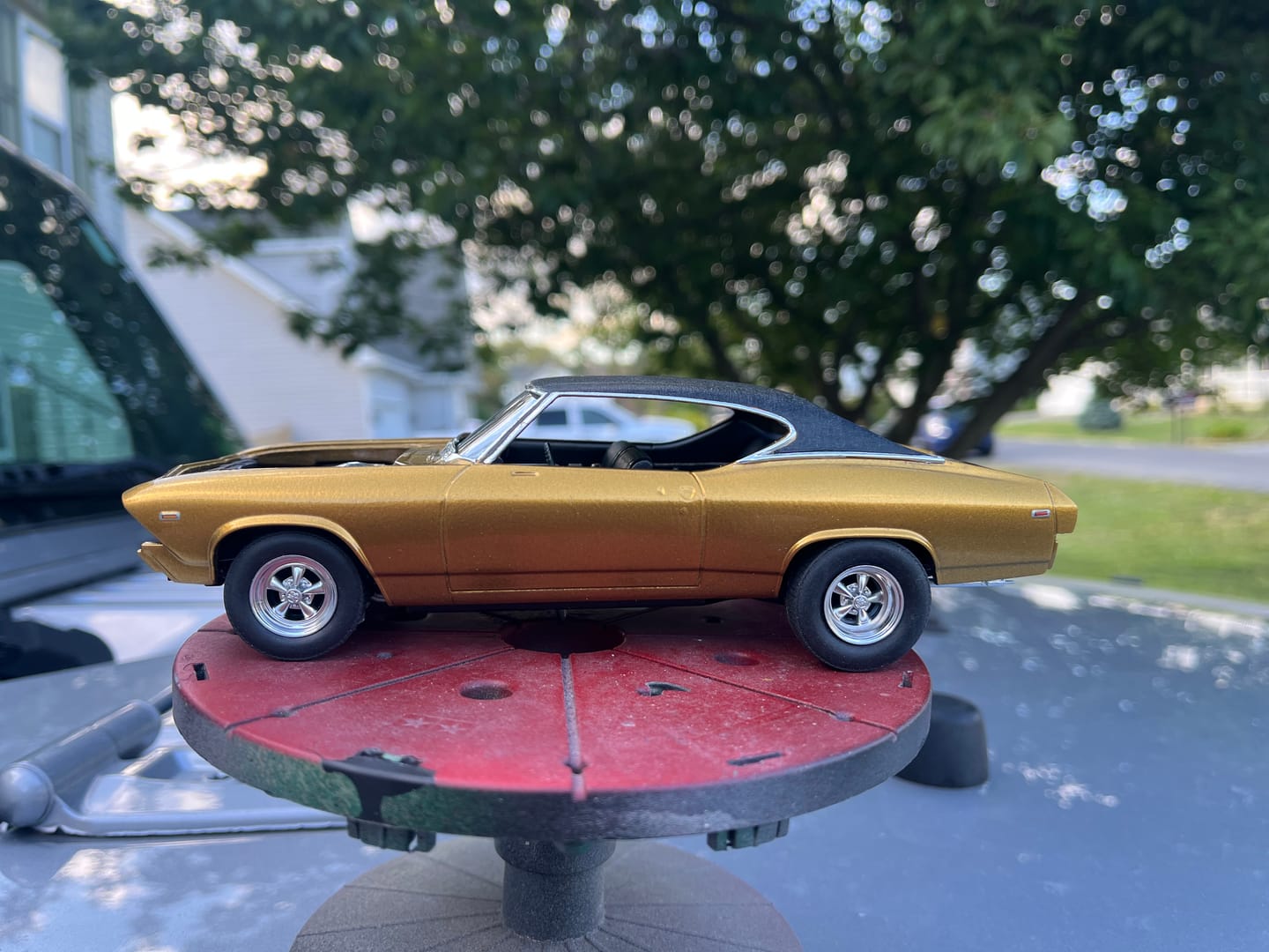 Customer photo review of Egyptian Gold Paint Basecoat Midcoat