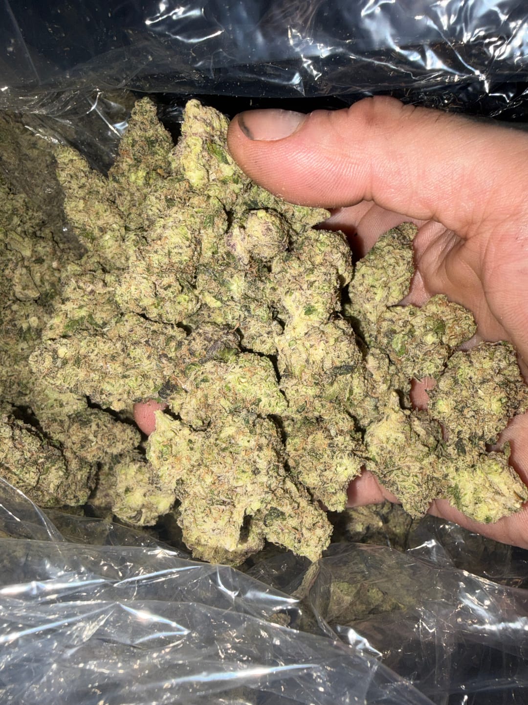 Customer photo review of Indoor Exotic Hashburger - Bulk - Indica