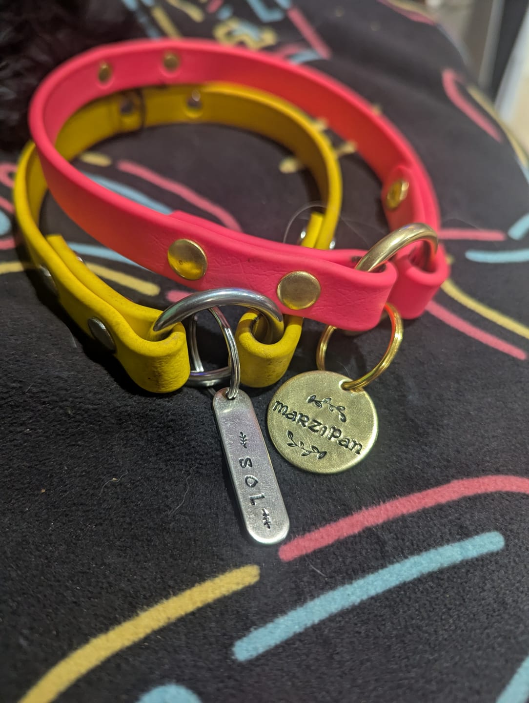 Customer photo review of House Collar, BioThane