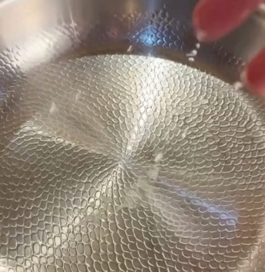 Customer photo review of TitaneX® Titanium Nonstick Frying Pan